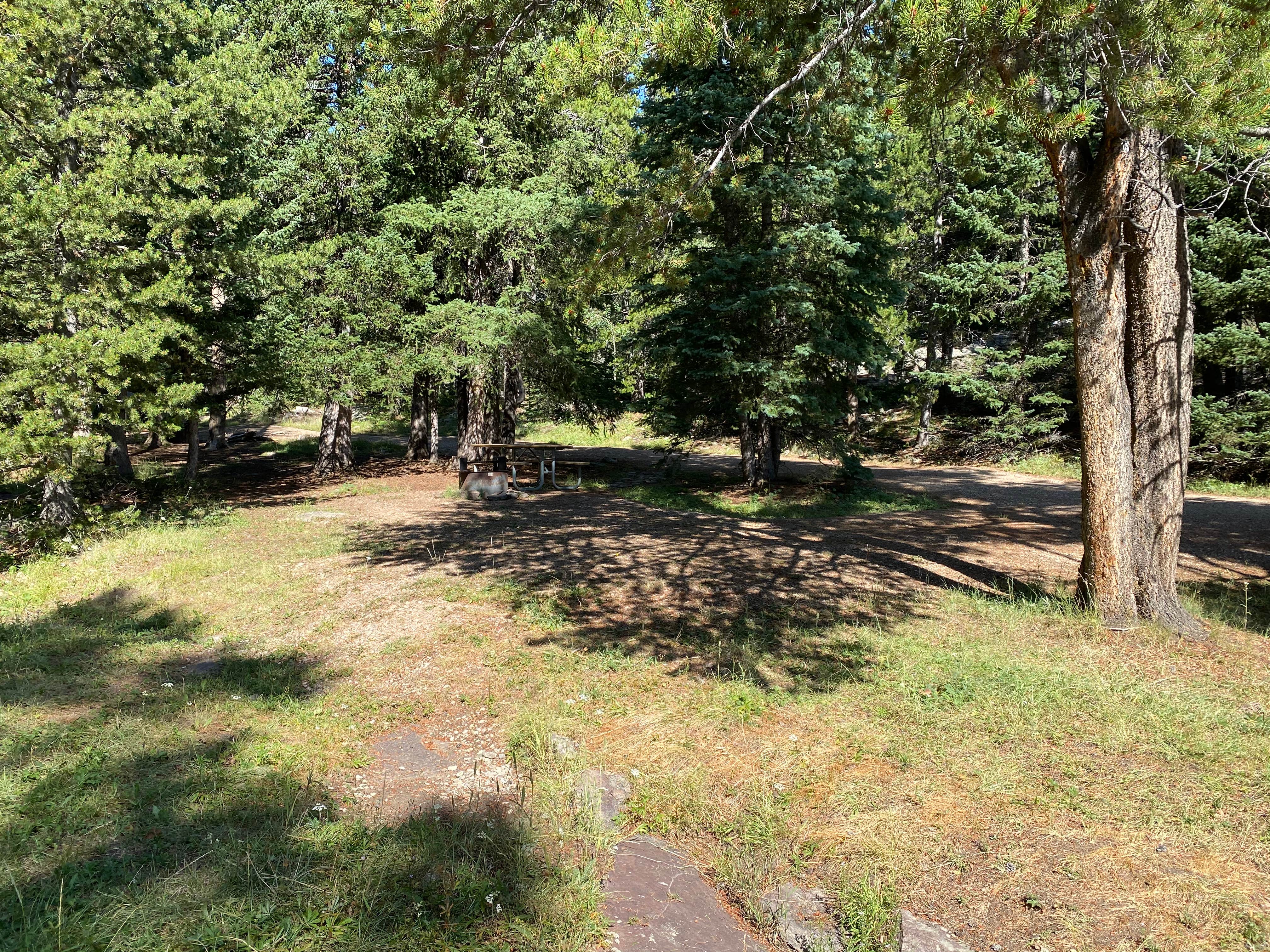 Camper-submitted photo at Buffalo Creek Campground near Ten Sleep, WY
