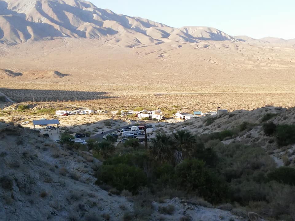Camper submitted image from Agua Caliente County Park Campground - 2