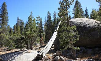 Camping near Dinkey Creek: Marmot Rock Campground, Sierra National Forest, California