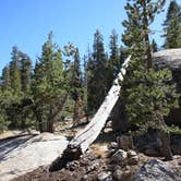 Review photo of Marmot Rock Campground by Erik H., August 5, 2020