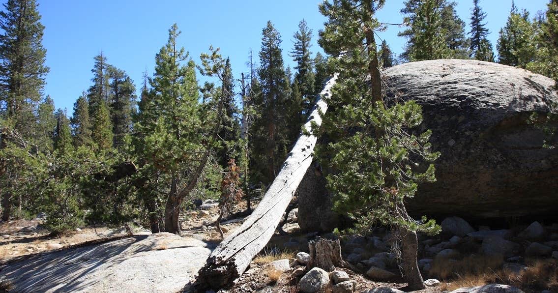 Marmot Rock Campground