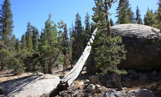 Camping near Dinkey Creek: Marmot Rock Campground, Sierra National Forest, California