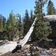 Marmot Rock Campground