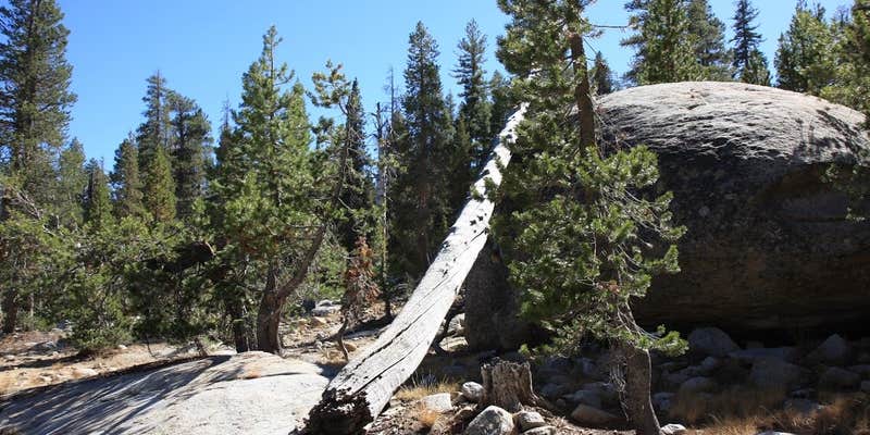 Camper submitted image from Marmot Rock Campground