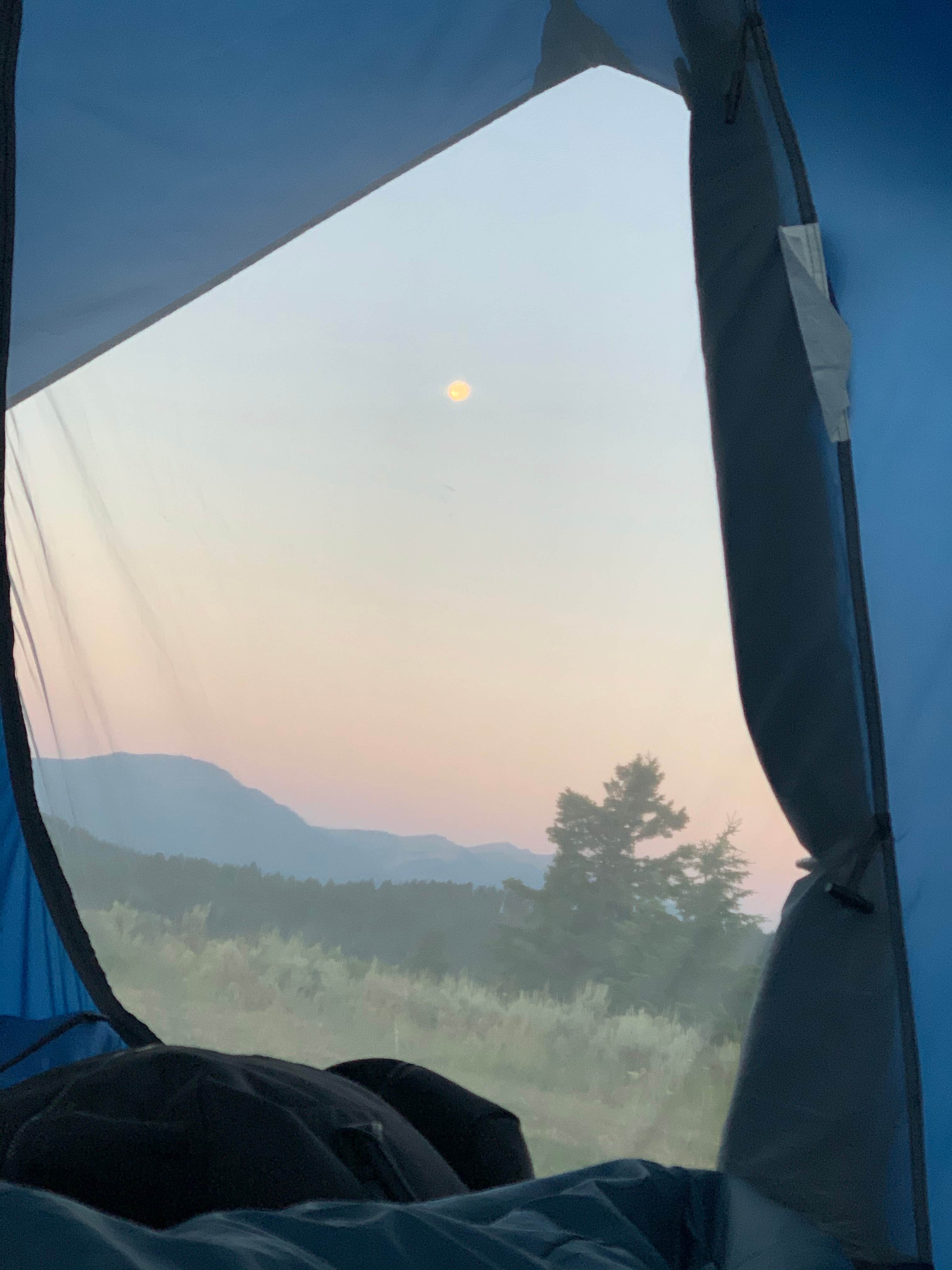 Camper-submitted photo at Targhee Creek near Island Park, ID