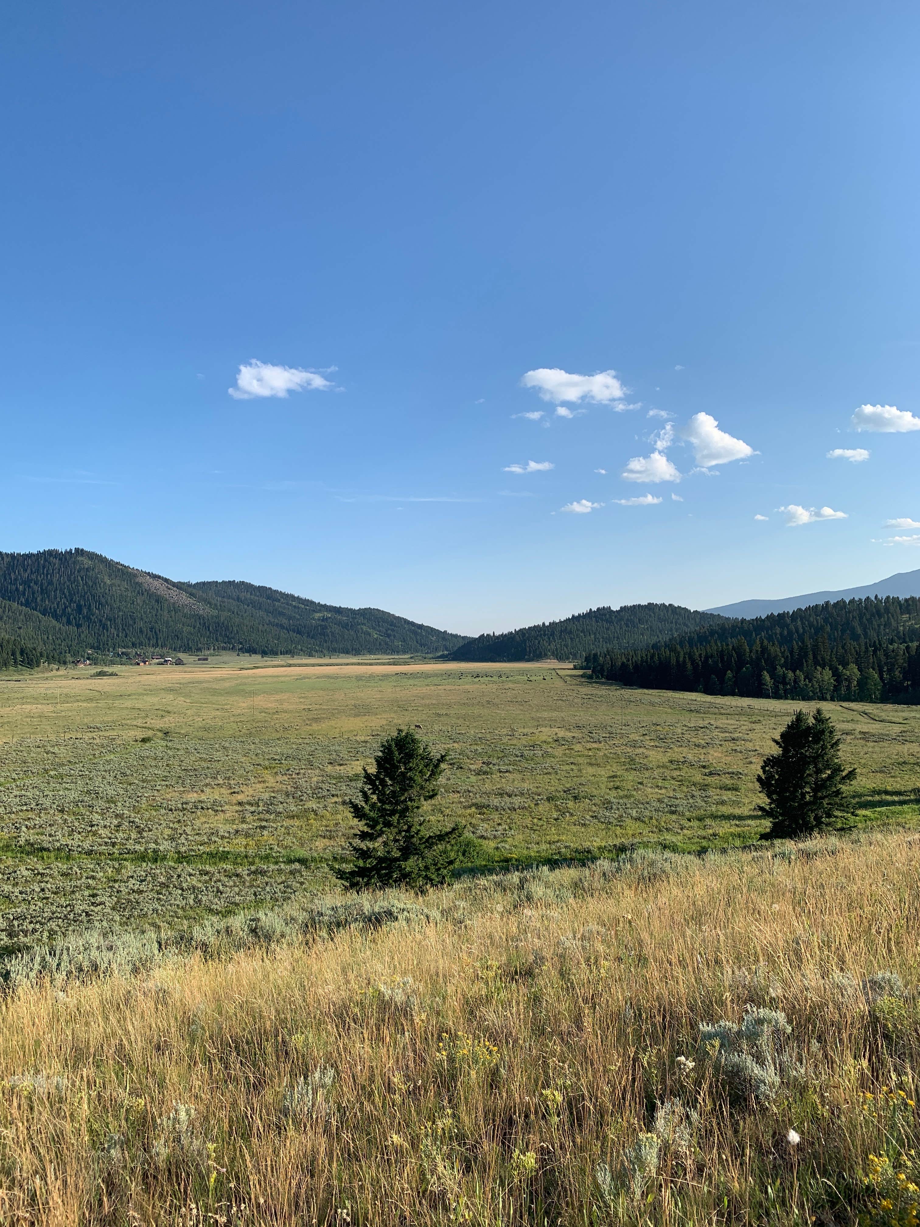 Dispersed Camping near West Yellowstone - Targhee Creek 327a798b A774 49e4 Bce1 Fe0ad1dca8a5