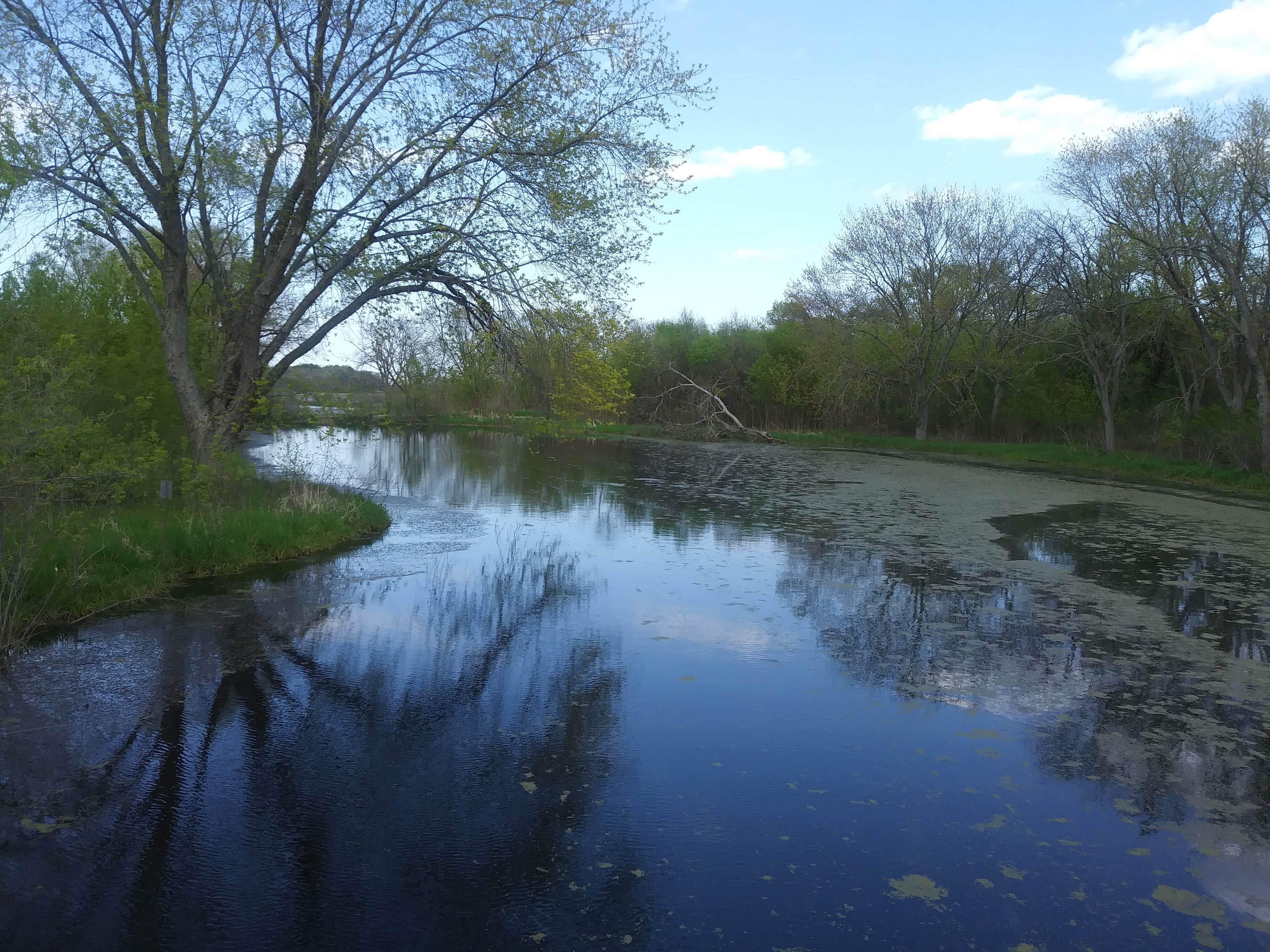 Camper-submitted photo at Mud Lake East — Chain O' Lakes State Park near Wonder Lake, IL