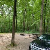 Review photo of Trail of Tears State Park Campground by Kelsie L., August 5, 2020