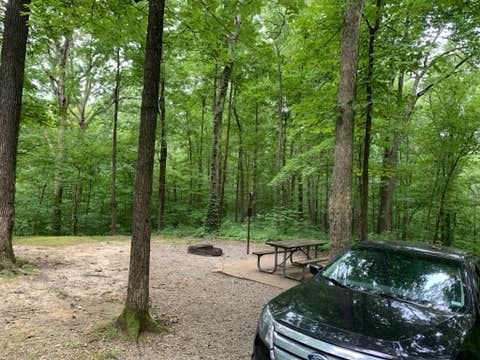 Camper submitted image from Trail of Tears State Park Campground - 4