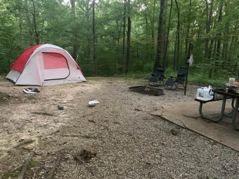 Kelsie L.'s photo at Trail of Tears State Park Campground near Whitewater, MO