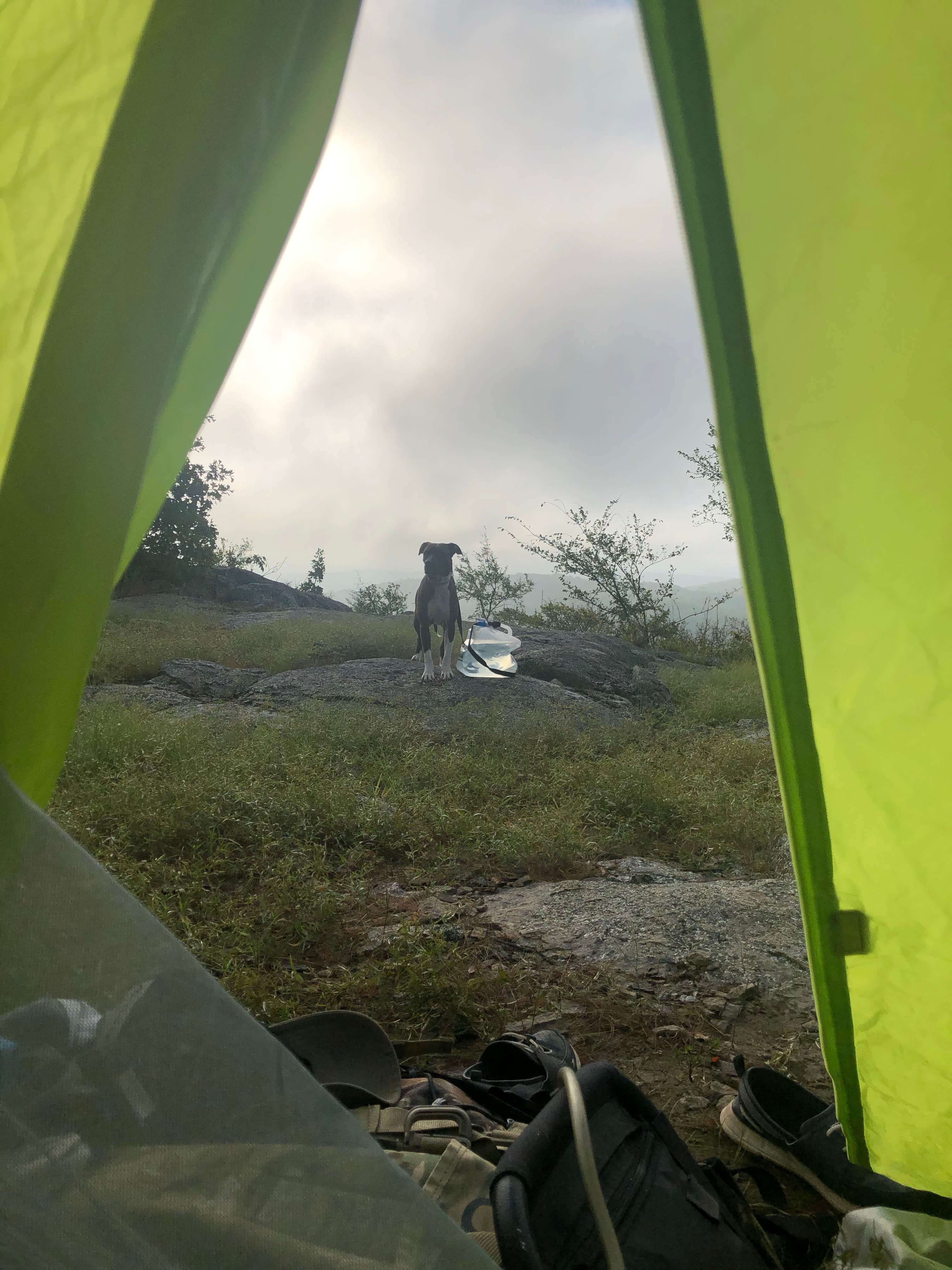 Kelsie L.'s photo at Bell Mountain Wilderness Area near Park Hills, MO