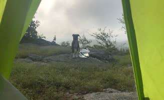 Kelsie L.'s photo at Bell Mountain Wilderness Area near Park Hills, MO