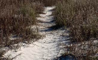 Justin C.'s photo of camping with pets at Gulf Front @ the Cape near Port St. Joe, FL