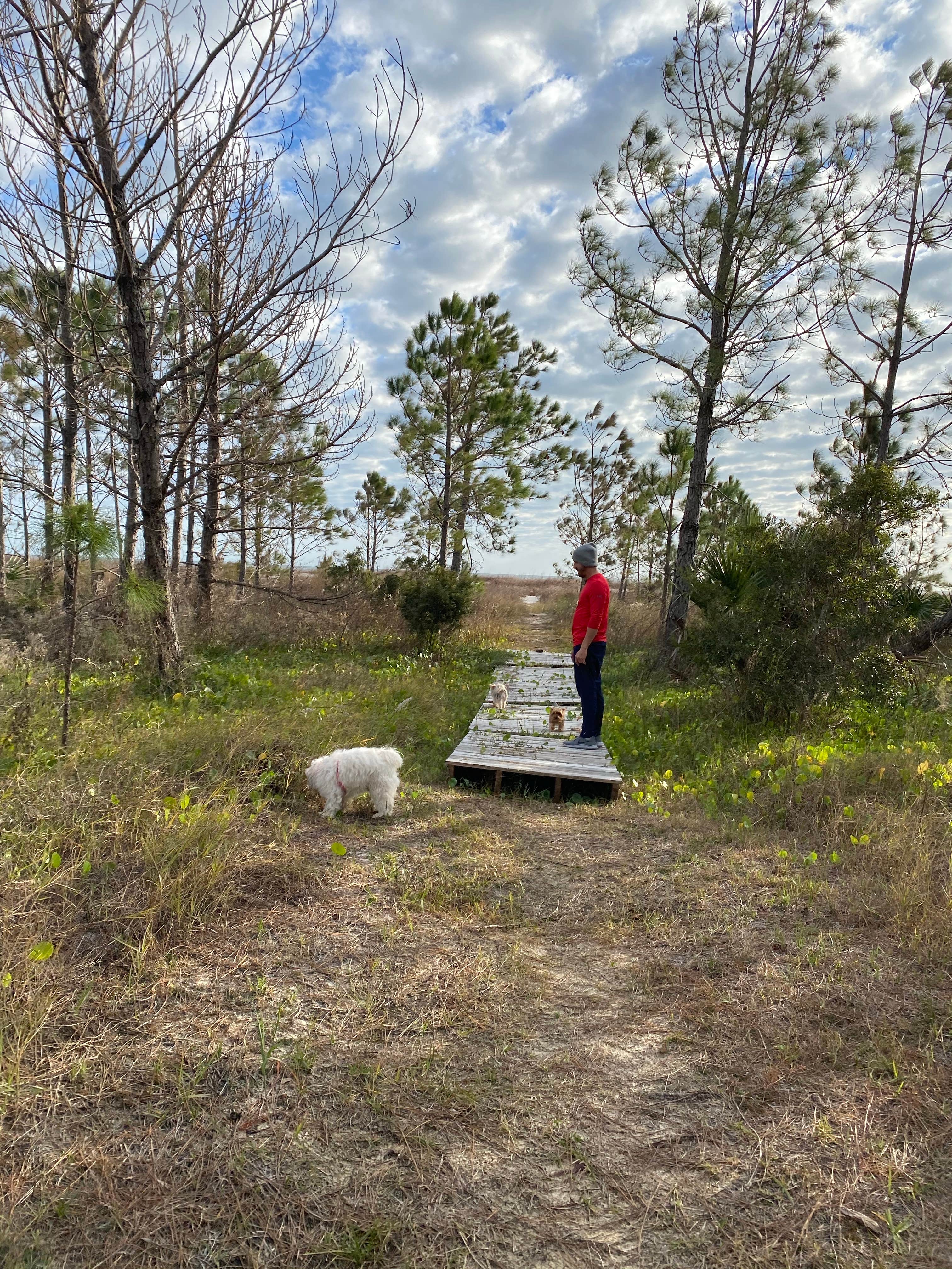 Camping near Indian Pass Campground: Gulf Front @ the Cape, Port St. Joe, Florida
