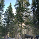 Review photo of Trial Lake Campground by Jake L., August 5, 2020