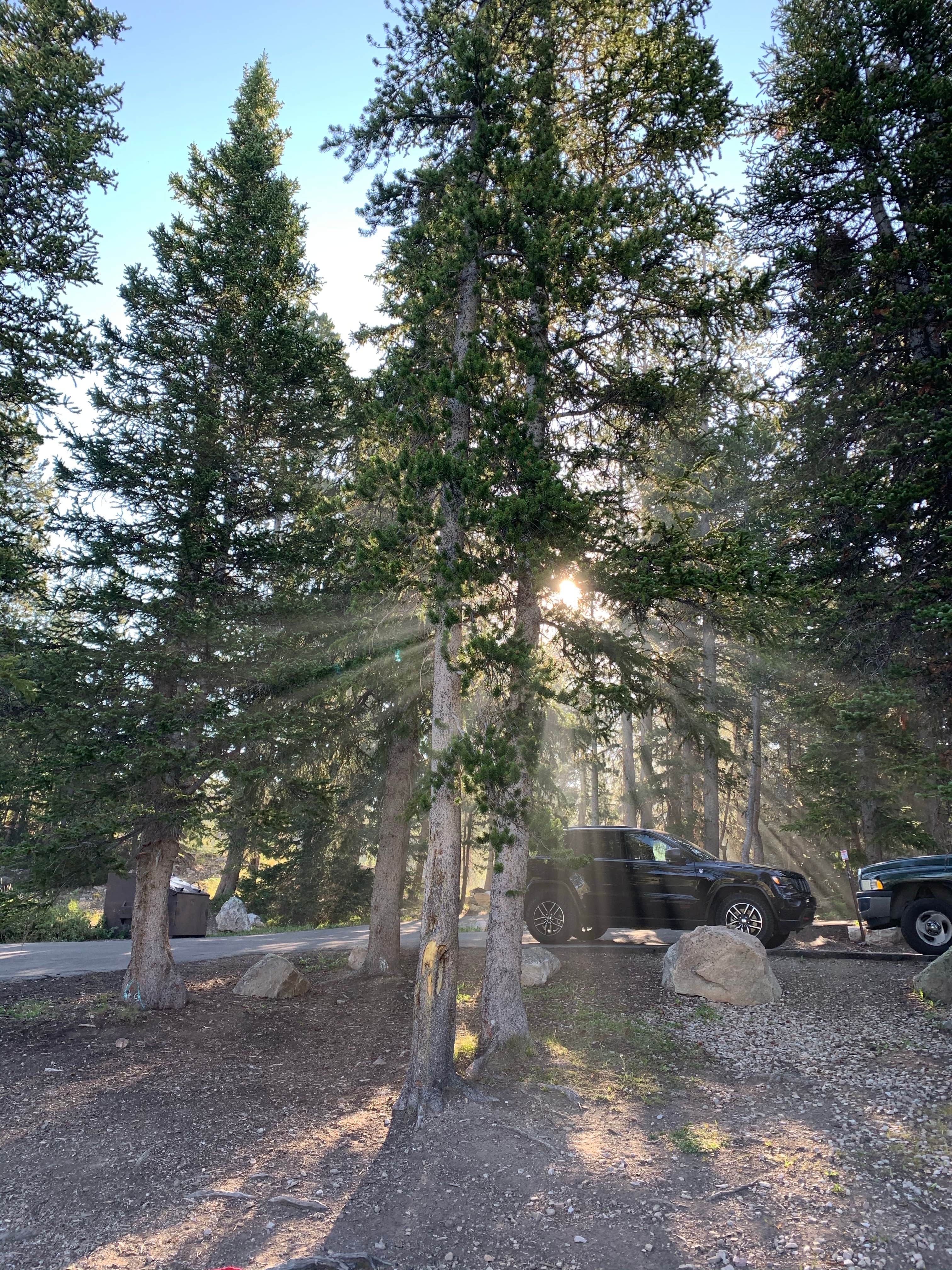 Camper submitted image from Trial Lake Campground - 4