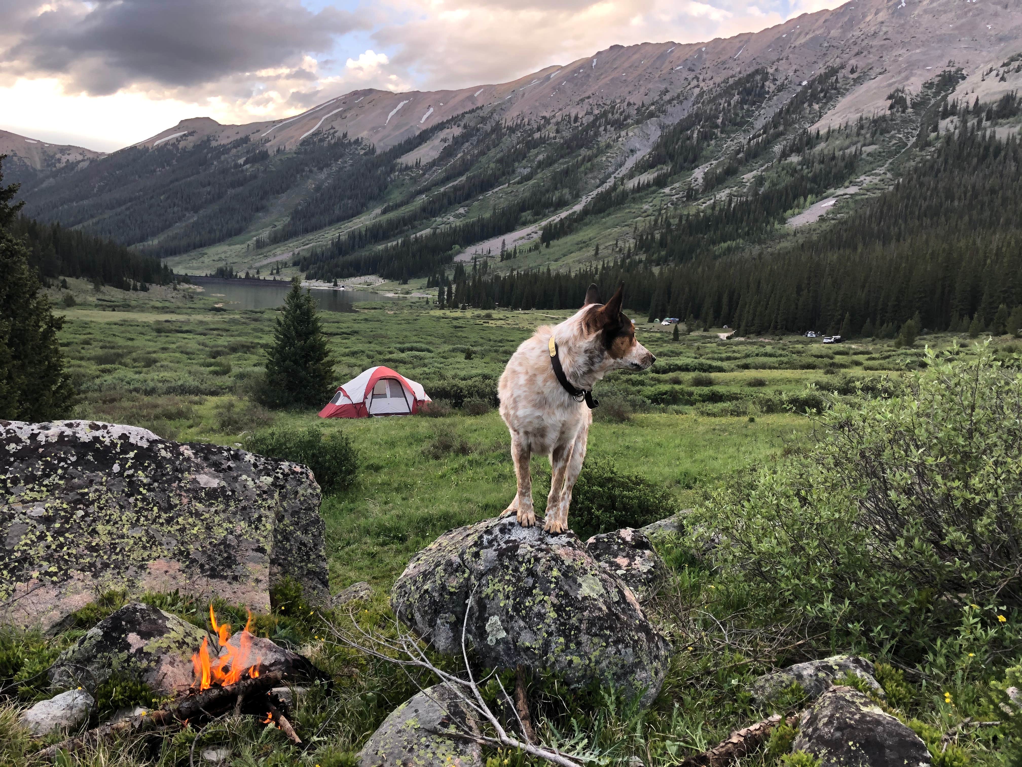 Camper-submitted photo at Lincoln Creek Dispersed Campground near Snowmass Village, CO