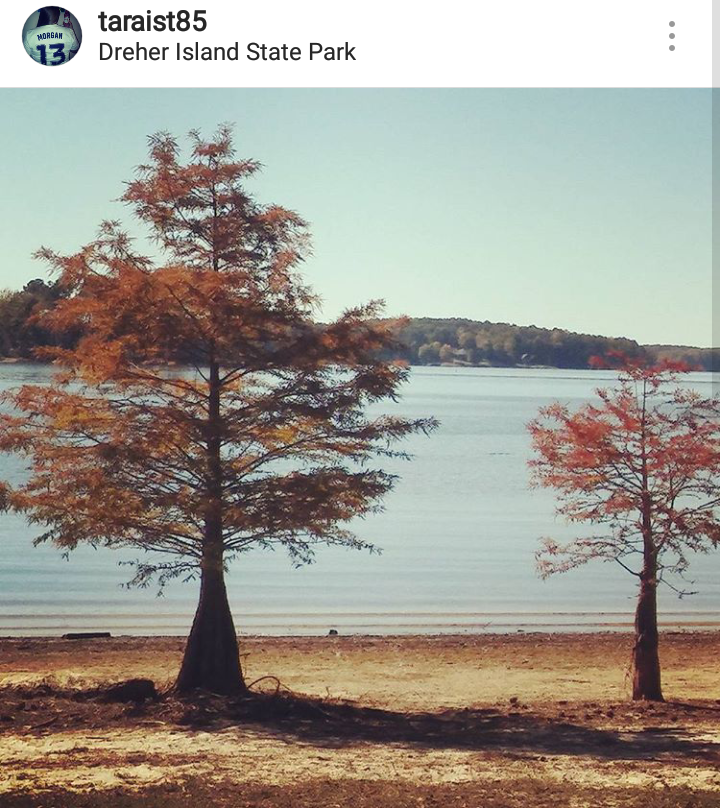Camper submitted image from Dreher Island State Park Campground - 5