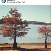 Review photo of Dreher Island State Park Campground by Tara M., April 17, 2018