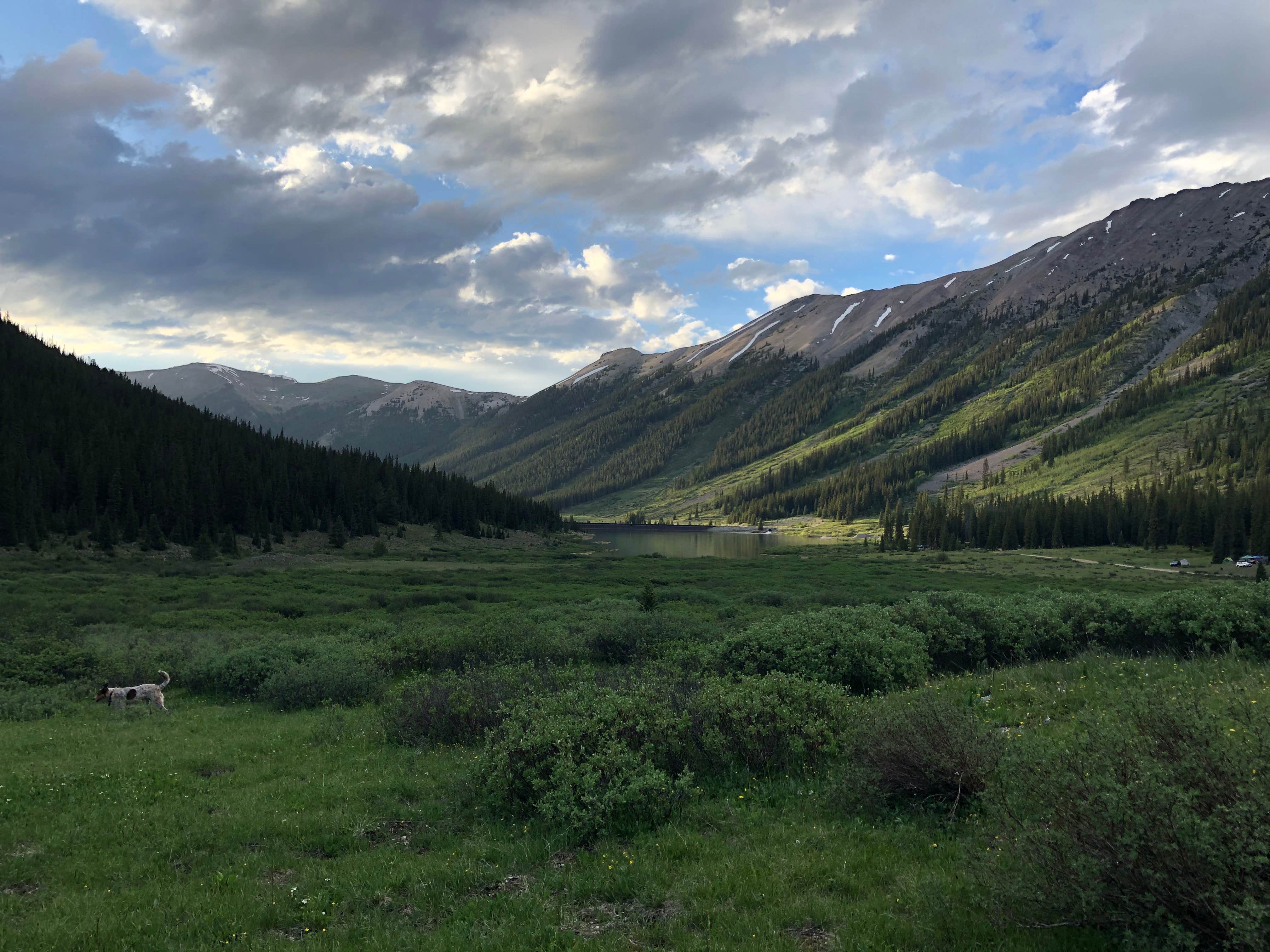 Camper-submitted photo at Lincoln Creek Dispersed Campground near Snowmass Village, CO