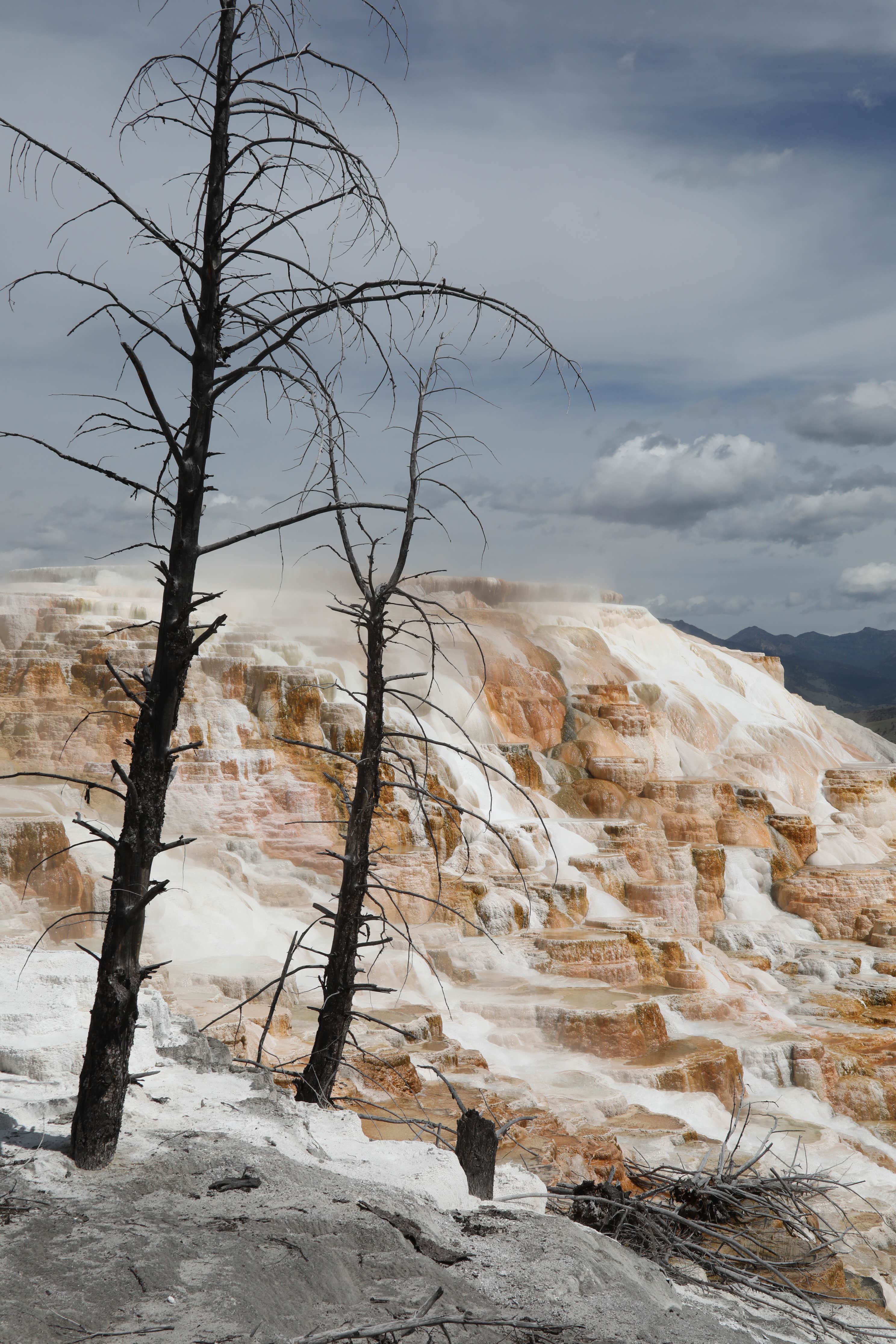 Custer-Gallatin National Forest Dispersed Camping