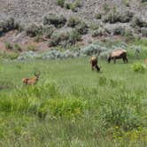 Review photo of Custer-Gallatin National Forest Dispersed Camping by Scott S., August 5, 2020