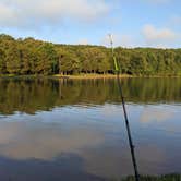 Review photo of Fairview Campground — Tims Ford State Park by James C., June 25, 2020