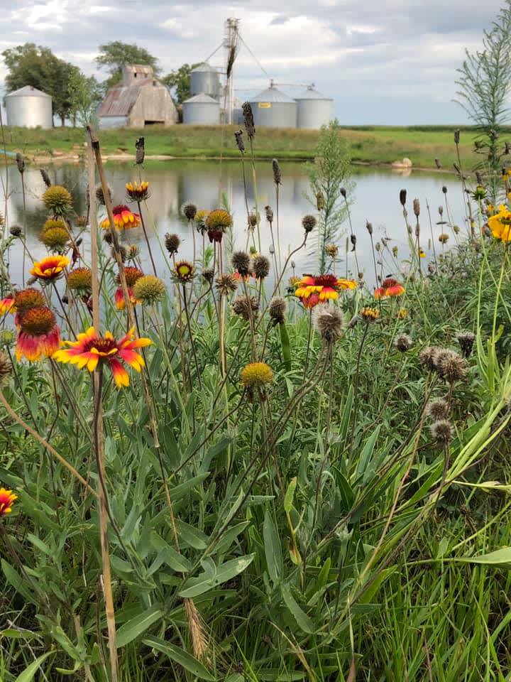 Camper-submitted photo at Gardner Family Farm and Iowa Hemp Farm Stay near Independence, IA