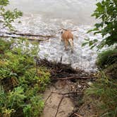 Review photo of Harrisville State Park Campground by Sam W., August 6, 2020