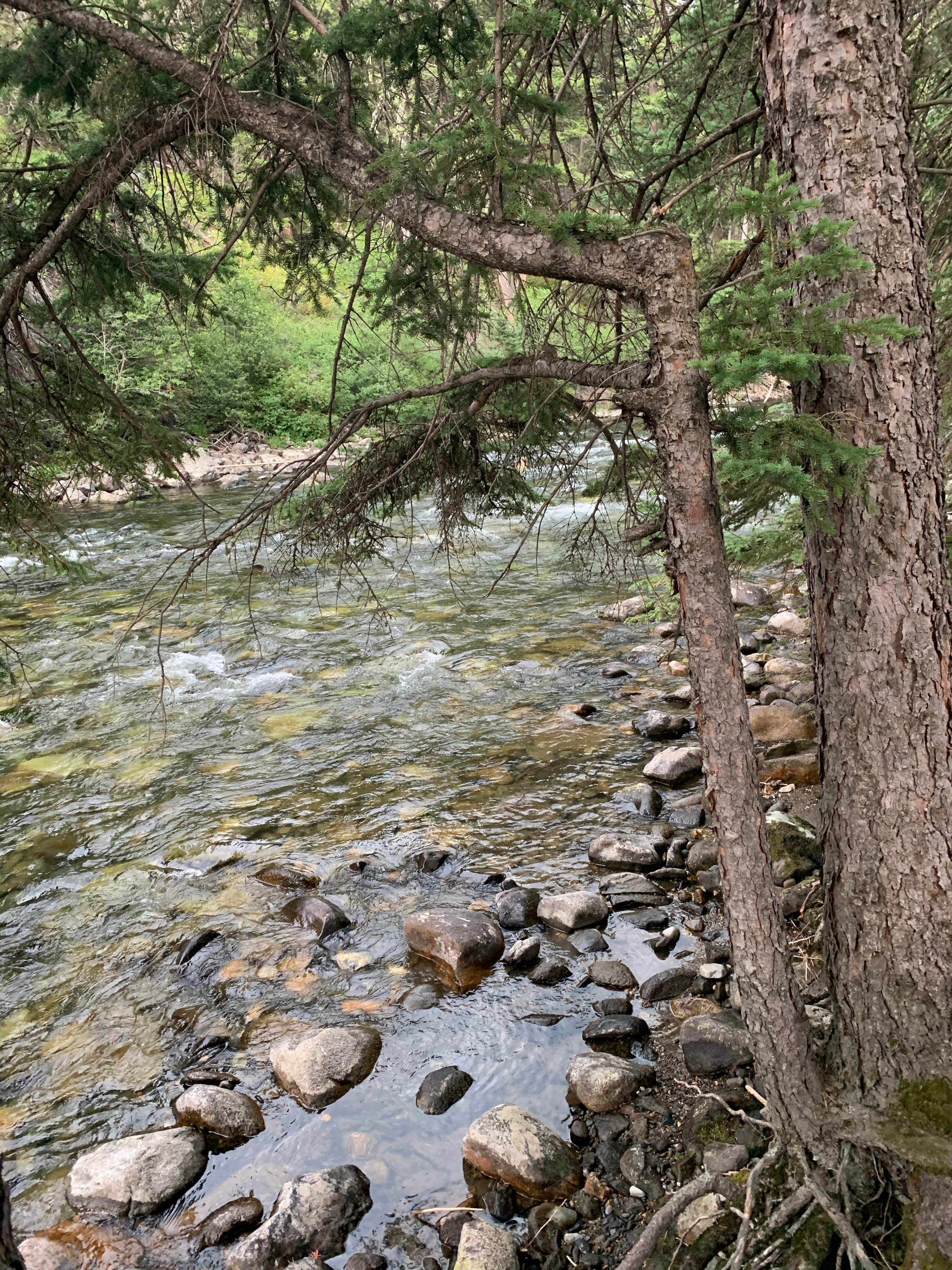 Camper-submitted photo at Falls Creek near Livingston, MT