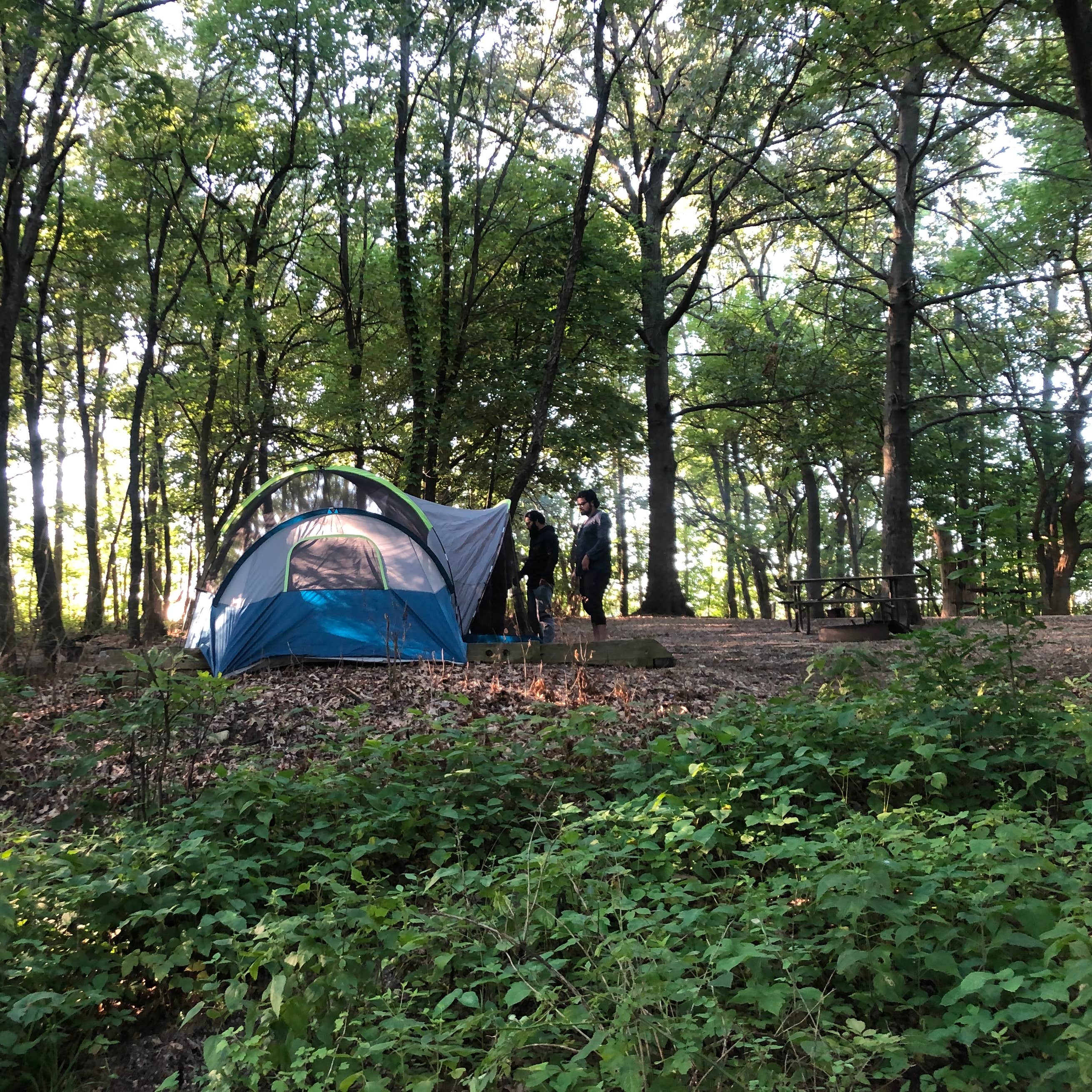 Clinton Lake State Recreation Area Camping | The Dyrt