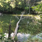 Review photo of Clinton Lake State Recreation Area by Abdul Basith Asim M., August 6, 2020