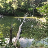 Review photo of Clinton Lake State Recreation Area by Abdul Basith Asim M., August 6, 2020