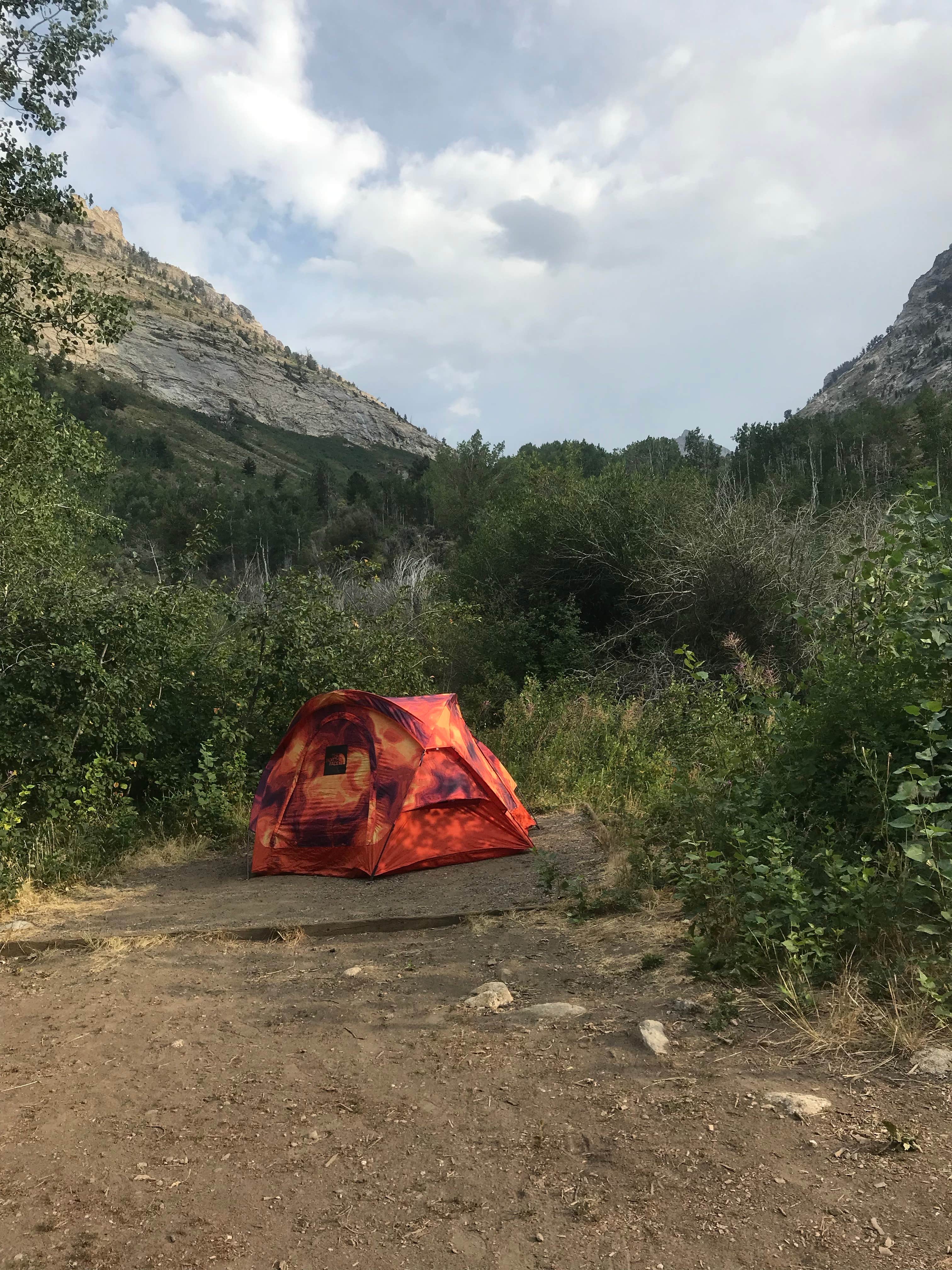 Eli W.'s photo at Humboldt National Forest Thomas Canyon Campground near Deeth, NV