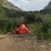 Review photo of Humboldt National Forest Thomas Canyon Campground by Eli W., October 13, 2018