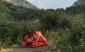 Eli W.'s photo at Humboldt National Forest Thomas Canyon Campground near Deeth, NV