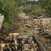 Review photo of Humboldt National Forest Thomas Canyon Campground by Eli W., October 13, 2018