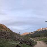 Review photo of Lincoln Creek Dispersed Campground by Elsa Y., August 6, 2020