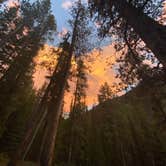 Review photo of Lincoln Creek Dispersed Campground by Elsa Y., August 6, 2020
