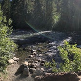 Review photo of Salmon la Sac Road Dispersed Camping by Joe S., August 6, 2020