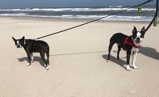 Sarah G.'s photo of camping with pets at Great Island Cabin Camp — Cape Lookout National Seashore near Harkers Island, NC