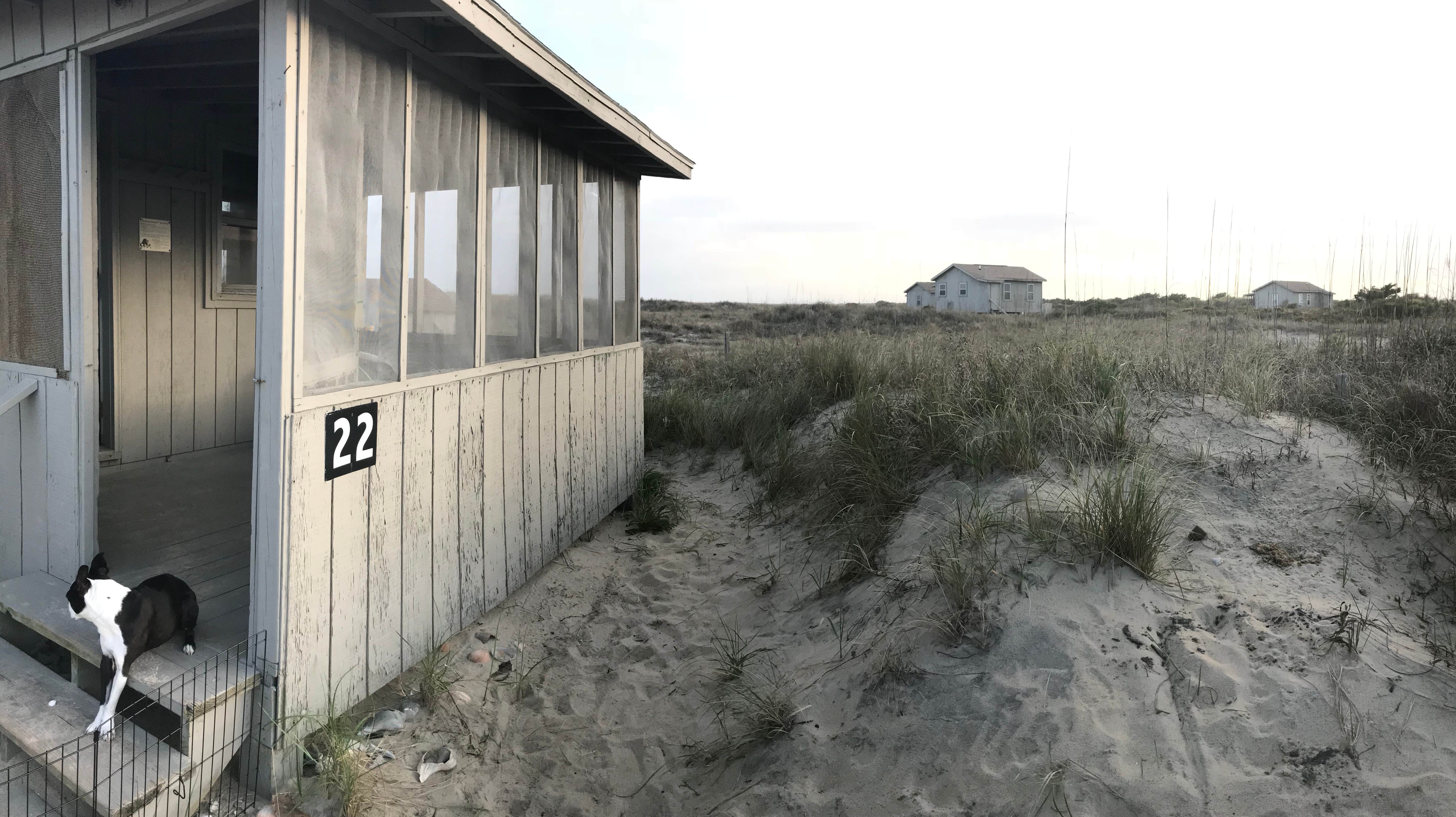 Camper submitted image from Great Island Cabin Camp — Cape Lookout National Seashore - 3