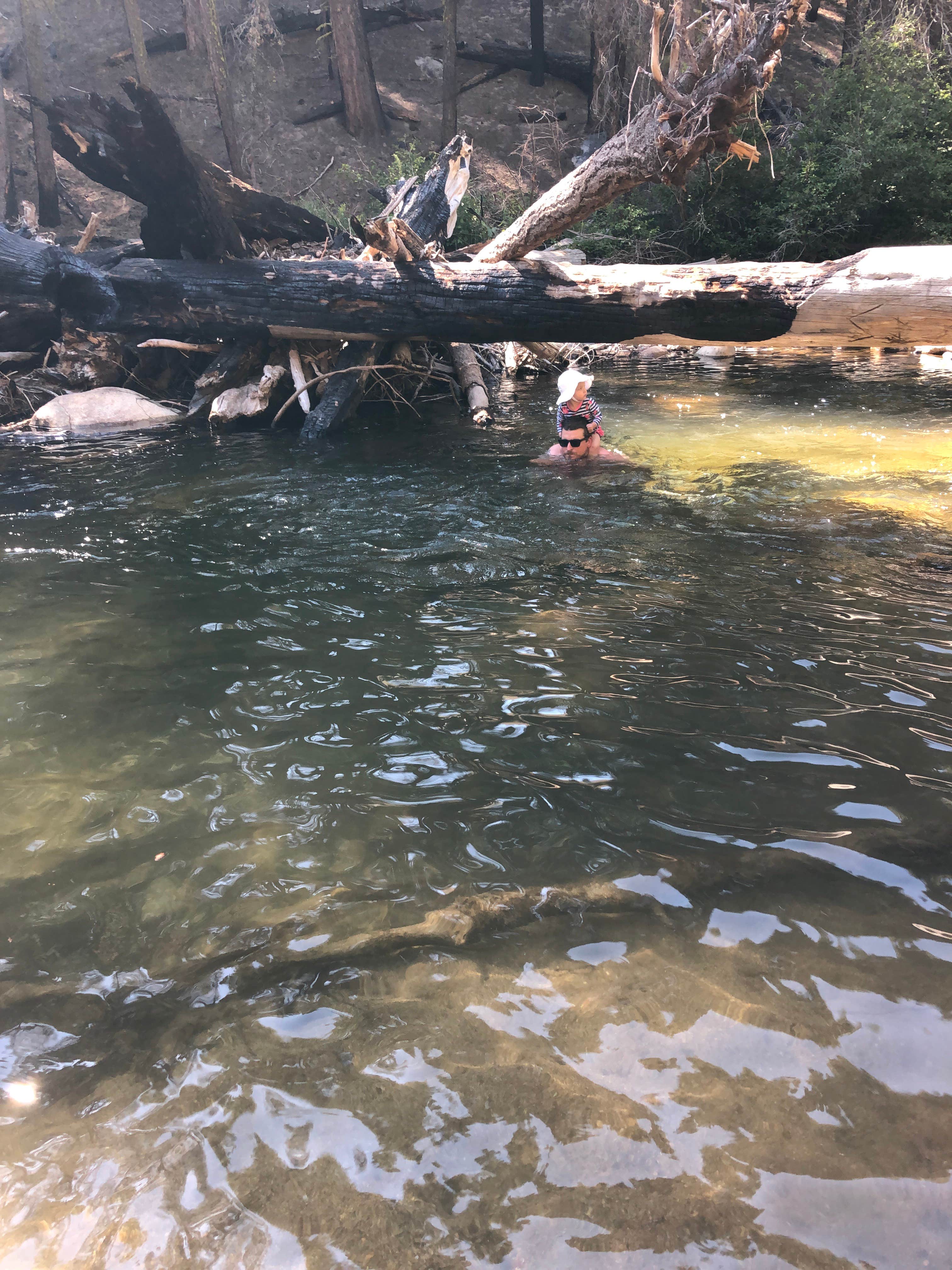 Camper submitted image from Clark Fork Campground - 4