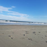 Review photo of Myrtle Beach State Park Campground by Elle M., August 6, 2020