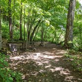 Review photo of Minneiska Campground — Whitewater State Park by Amy A., August 6, 2020