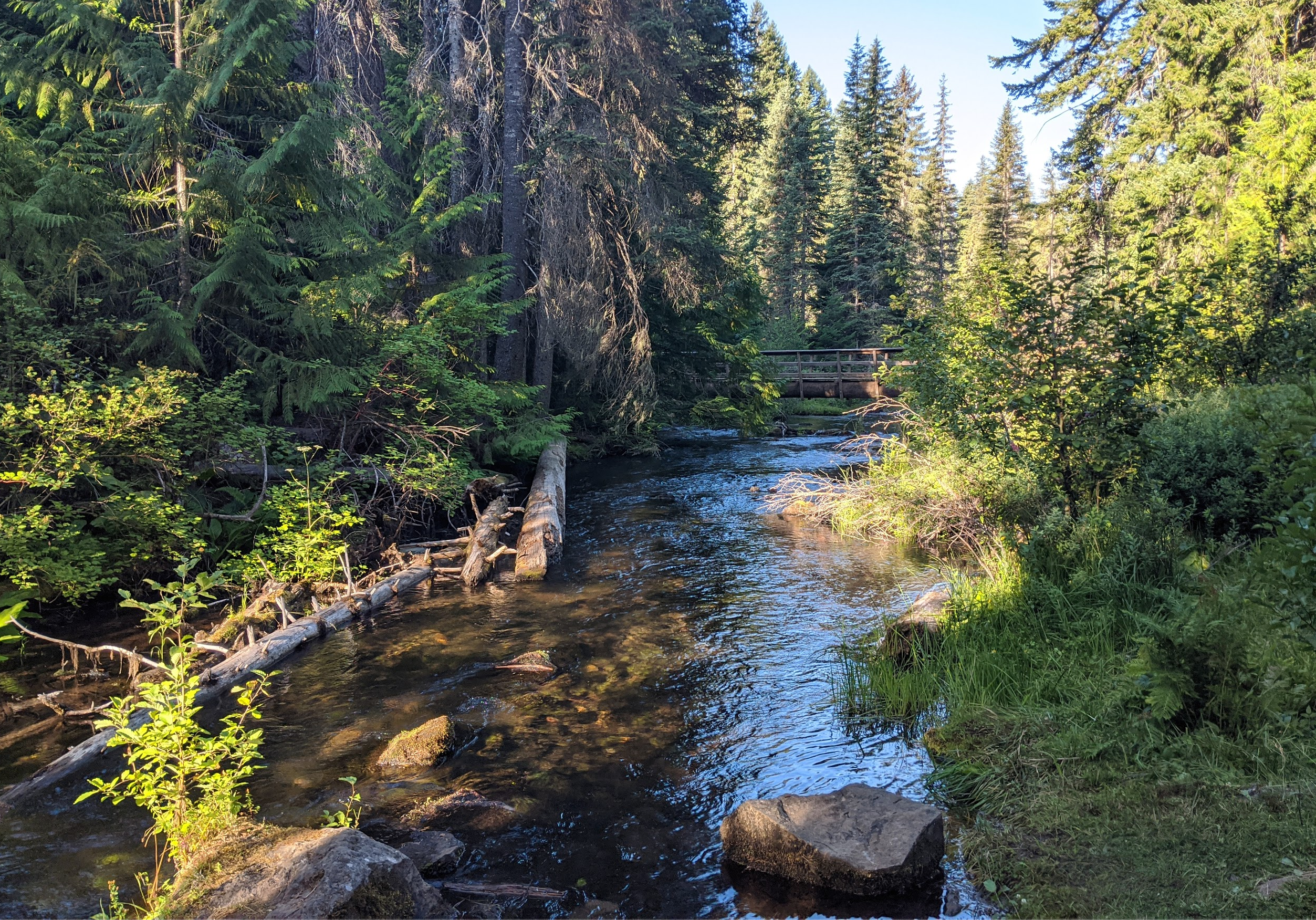 Camper submitted image from Clear Creek Crossing Campground - 2