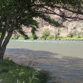 Review photo of Beavertail Campground — Lower Deschutes Wild And Scenic River by Tristan T., August 6, 2020