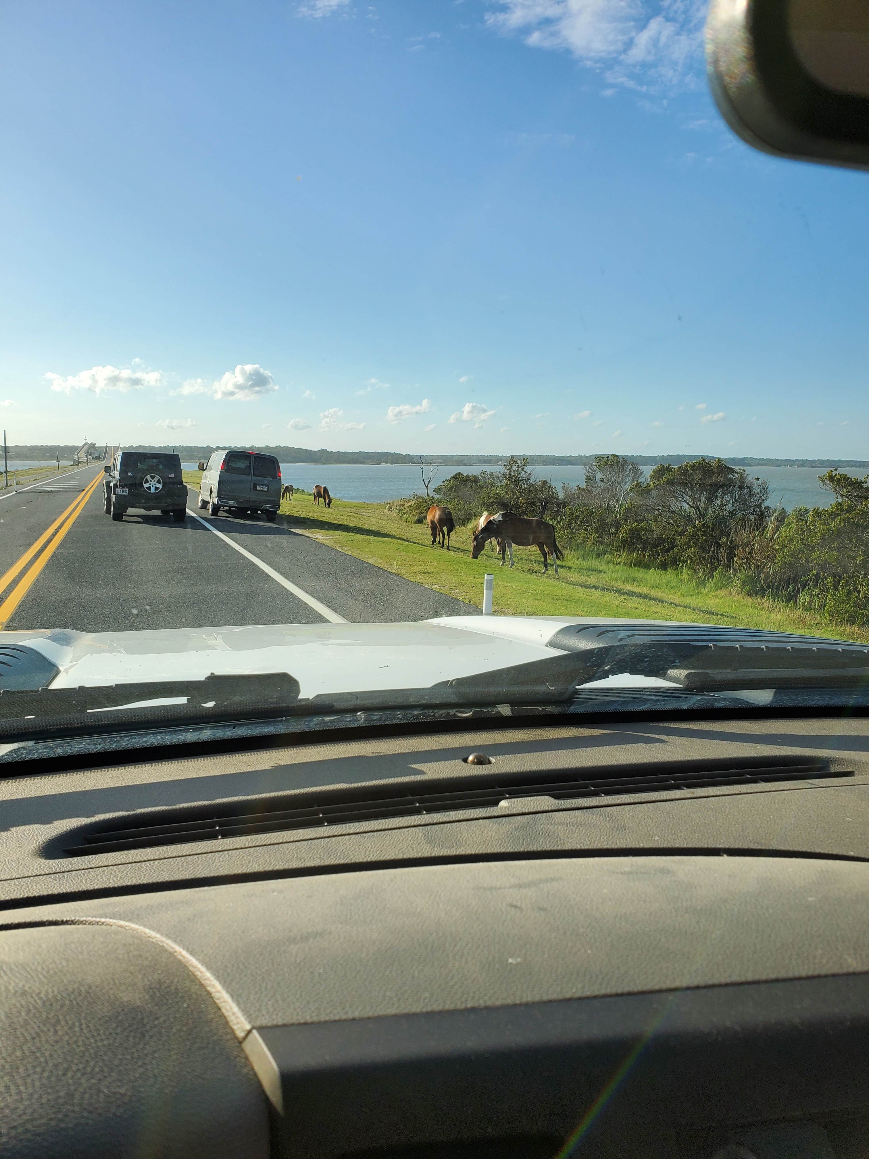 Mike J.'s photo of camping with a horse at Sun Outdoors Frontier Town near Georgetown, DE