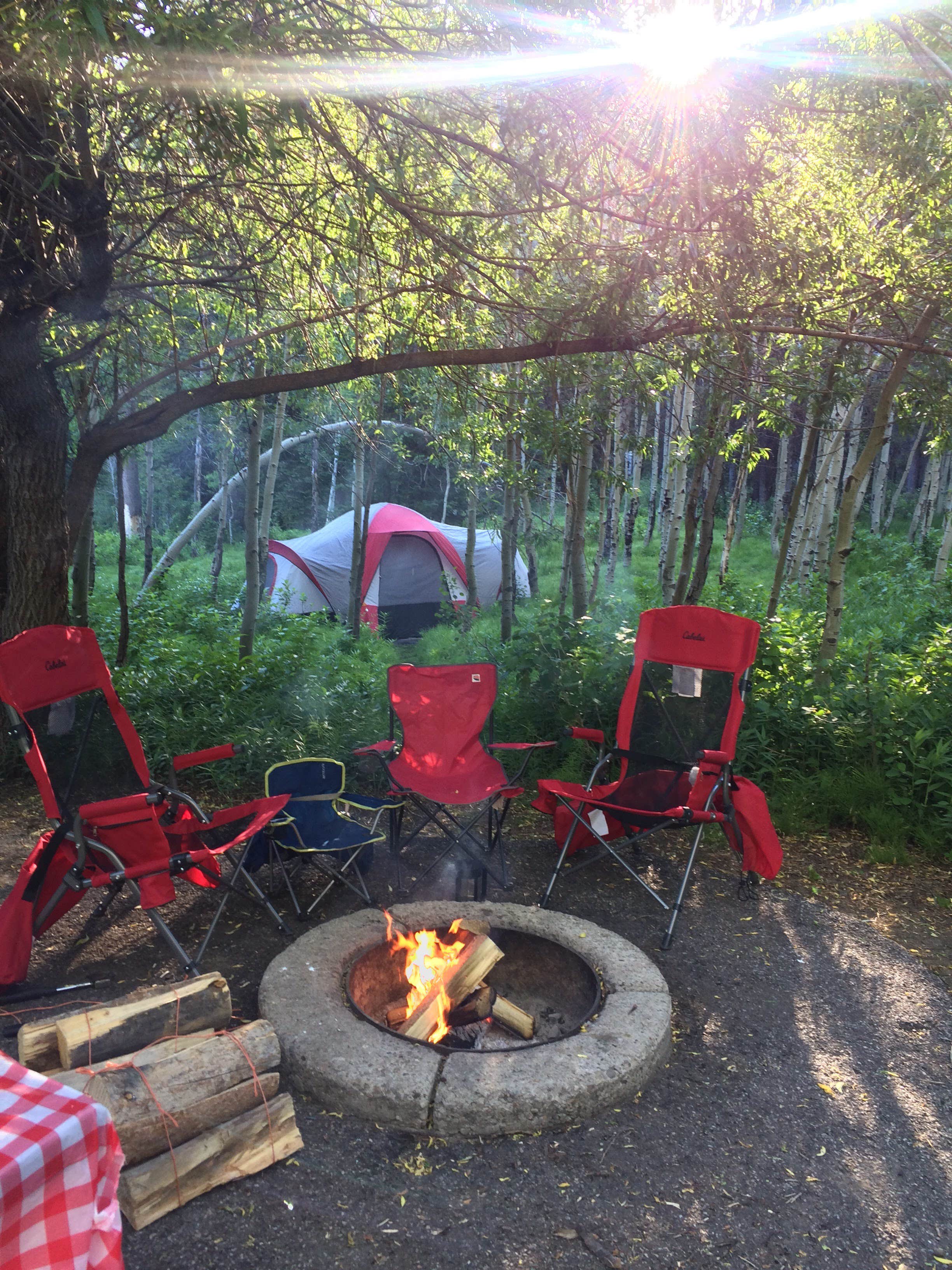 Camper submitted image from Spruces - Big Cottonwood - 2