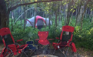 Andy M.'s photo at Spruces - Big Cottonwood near Alta, UT